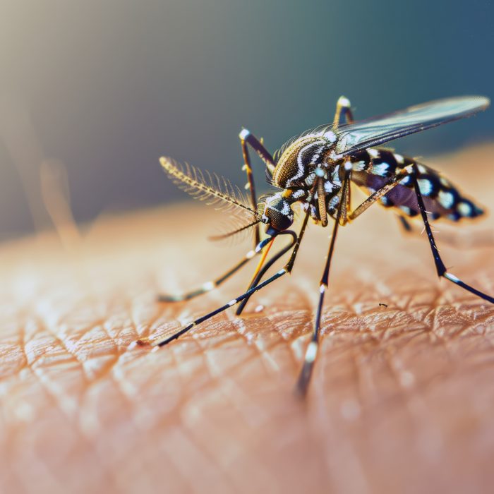Alertan sobre el avance del dengue con la llegada de la primavera