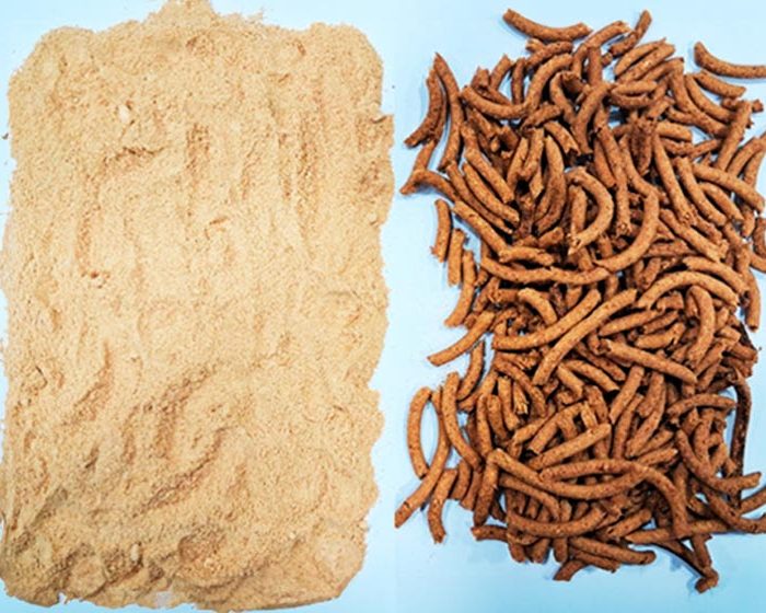 Investigaciones de científicos del CONICET permiten incorporar nuevos productos al Código Alimentario Argentino