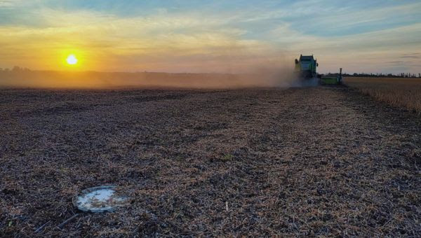 Con un sistema de aire forzado, se reducen en un 54 % las pérdidas en la cosecha