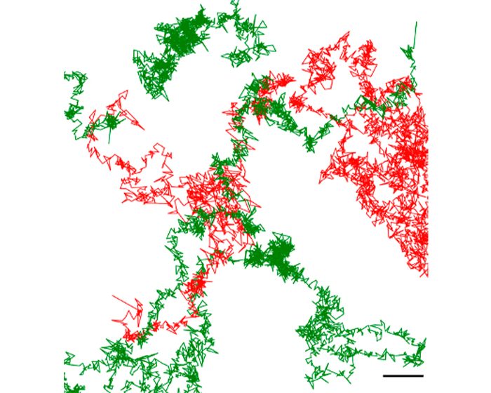 Visualizan con IA por primera vez a un neurorreceptor implicado en enfermedades neurológicas