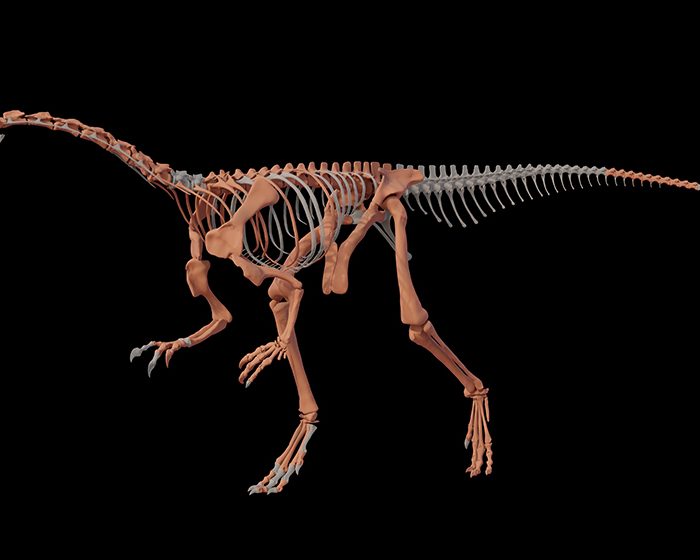 Hallan uno de los dinosaurios más antiguos del mundo en La Rioja