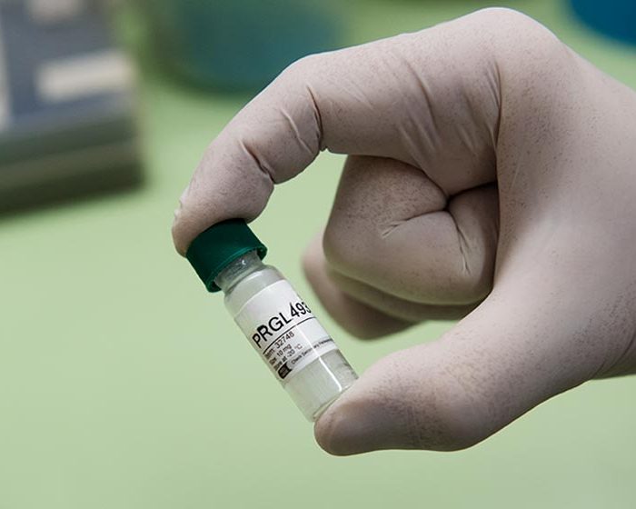 Una enzima que podría ser un blanco clave para tratar distintos tumores malignos