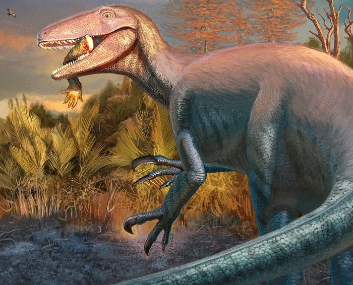 Descubren en Chubut un dinosaurio carnívoro que habría sido de los últimos en extinguirse