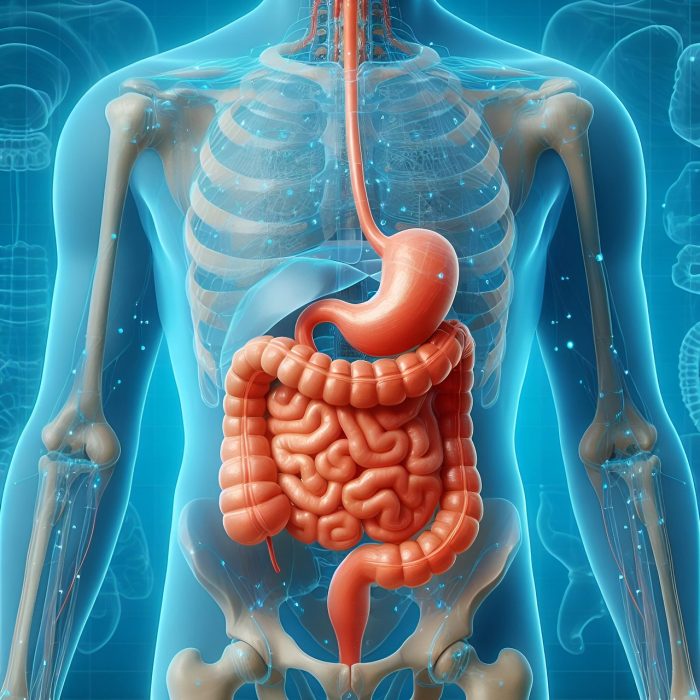 Descubren un mecanismo clave que impulsa la metástasis en el cáncer