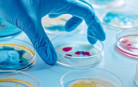 Biotecnología, la carrera del presente y futuro