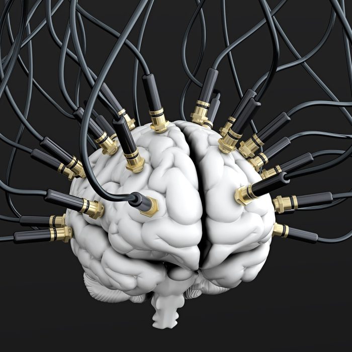 El cerebro se fortalece igual que un músculo