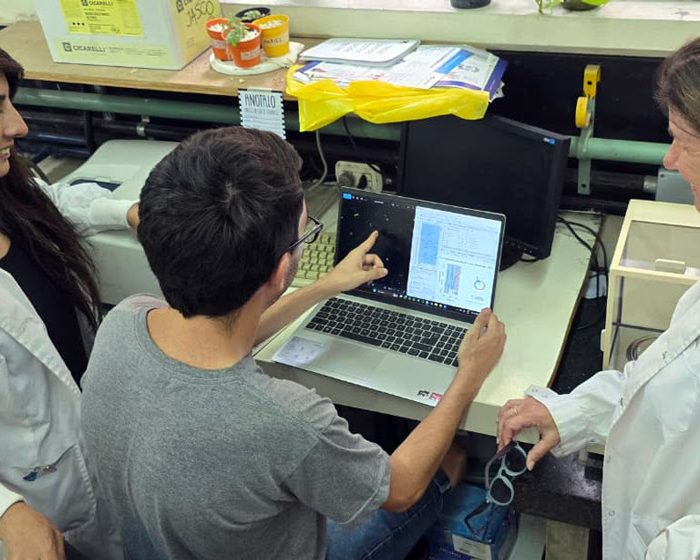 Revelan que un patógeno bacteriano crítico posee un reloj biológico
