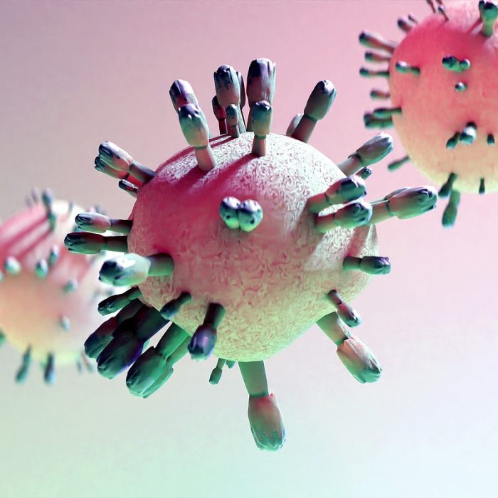 Nueva estrategia para combatir bacterias multirresistentes