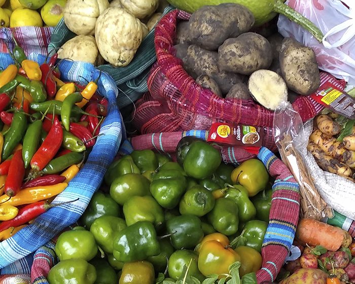 Conocer, valorar y aprovechar: difunden el potencial medicinal y alimenticio de plantas que circulan en la ciudad de La Plata Conocer, valorar y aprovechar: difunden el potencial medicinal y alimenticio de plantas que circulan en la ciudad de La Plata