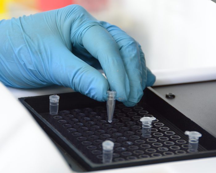 Equipo del CONICET brinda un servicio que permite estudiar mutaciones genéticas en cáncer hereditario