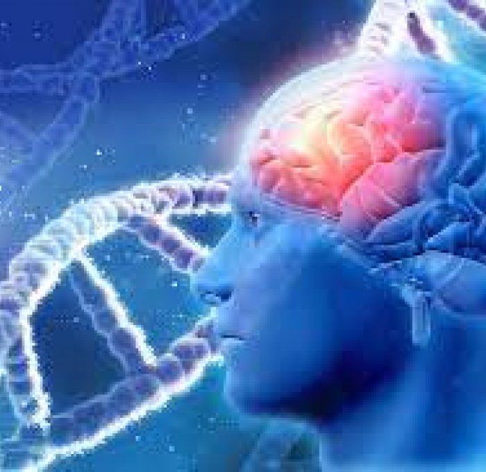 Alertan que 3 de cada 10 personas con epilepsia no logran controlar sus crisis con medicación