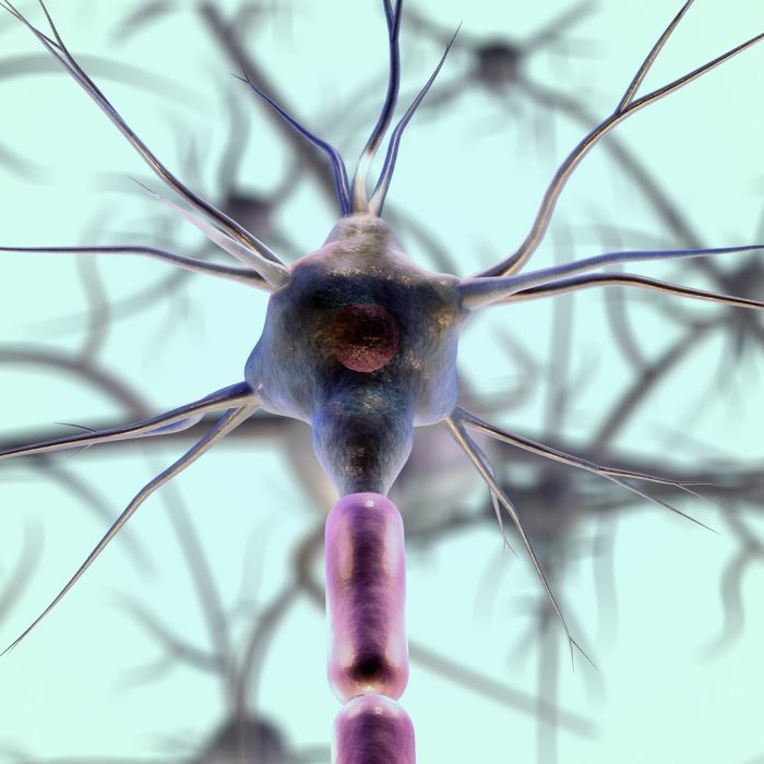 Cáncer de Colon es el tercer más frecuente en el mundo