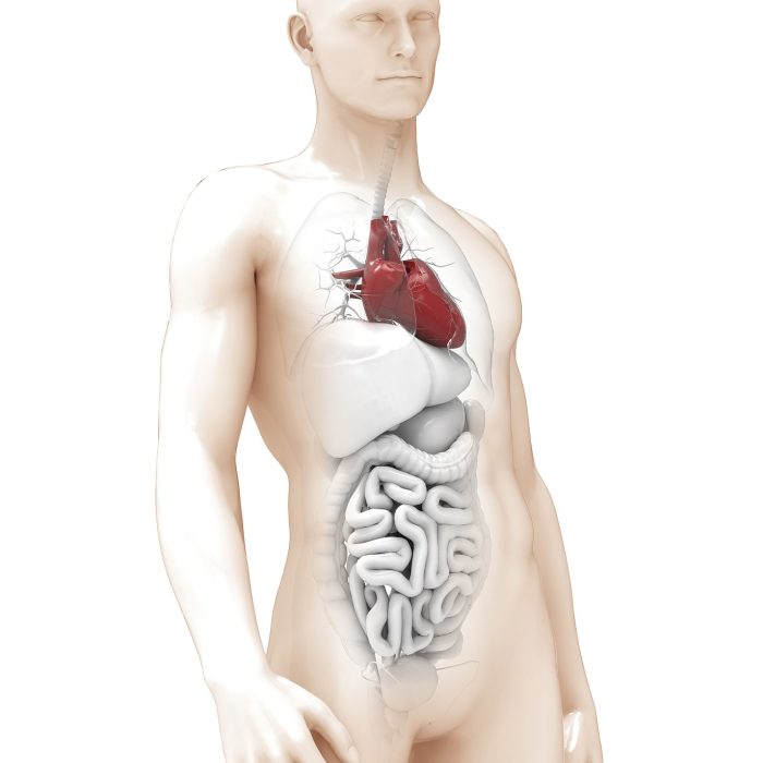 Cómo prevenir el cáncer más frecuente en Argentina