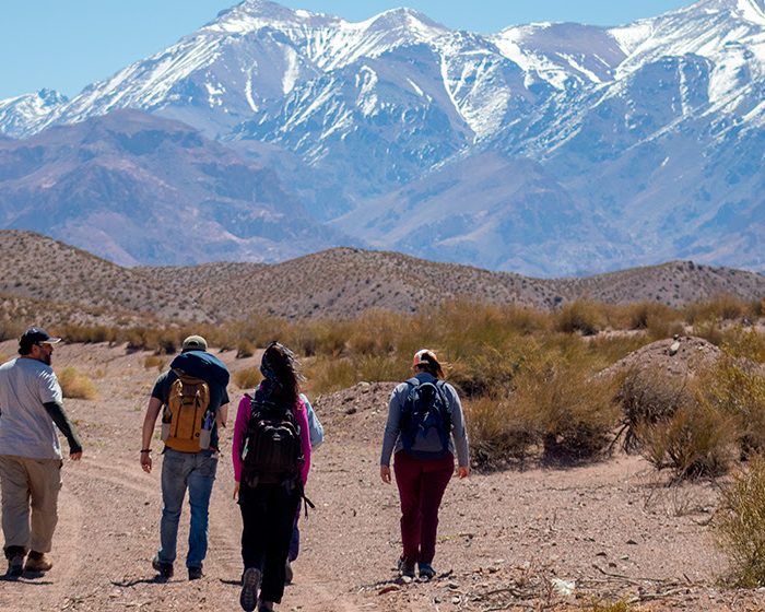Revelan una historia poblacional única en los Andes del Sur: agricultura, crisis y migración en los últimos 2000 años