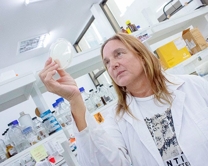Tuberculosis: investigaciones del CONICET que hacen frente a un problema de salud global
