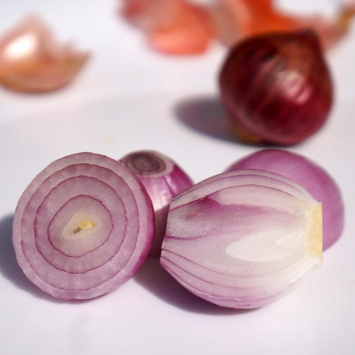 Nueva variedad de cebolla de bulbos rojos