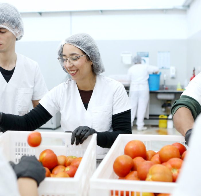 Economía circular: en alianza con productores locales, nace el tomate deshidratado Economía circular: en alianza con productores locales, nace el tomate deshidratado