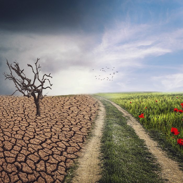 Planificación sanitaria frente al cambio climático: integrar clima y salud para anticipar riesgos
