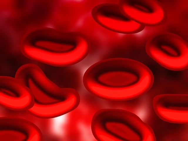 Un análisis de sangre simple podría detectar cáncer y daños en órganos