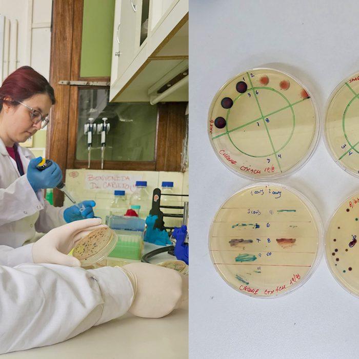 Kit de diagnóstico rápido de resistencia a los antibióticos
