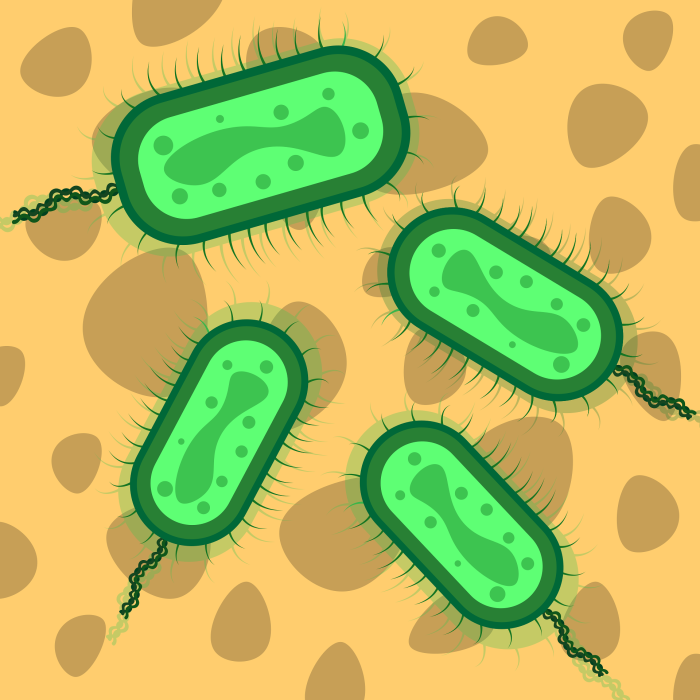 Científicos prueban un método con IA para tratar superbacterias resistentes a antibióticos