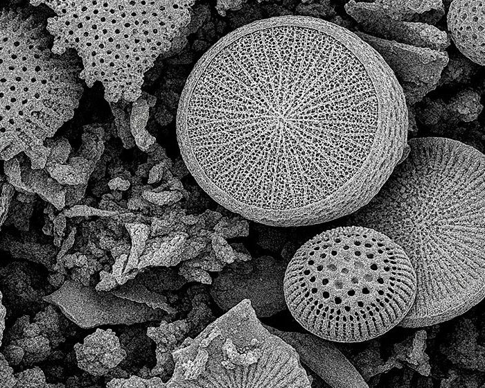 Dispositivo de uso doméstico para remover micro y nanoplásticos del agua