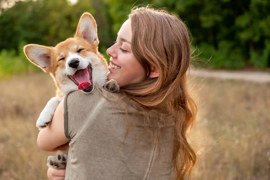 La curiosa relación entre nuestros genes y el deseo de tener un perro