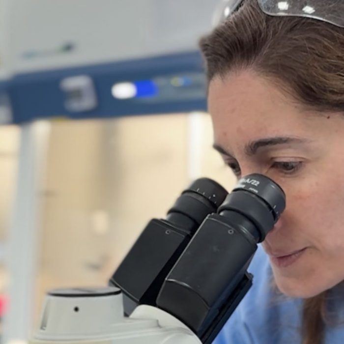 Estrategia innovadora para acortar el tratamiento contra la tuberculosis
