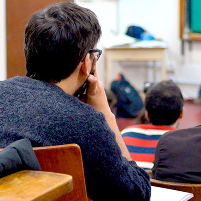 Diplomaturas universitarias superiores