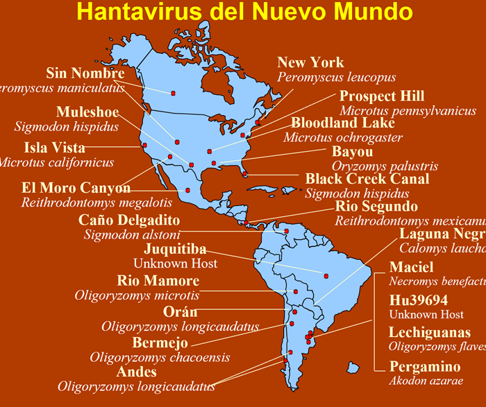 Hantavirus: síntesis clínica y epidemiológica