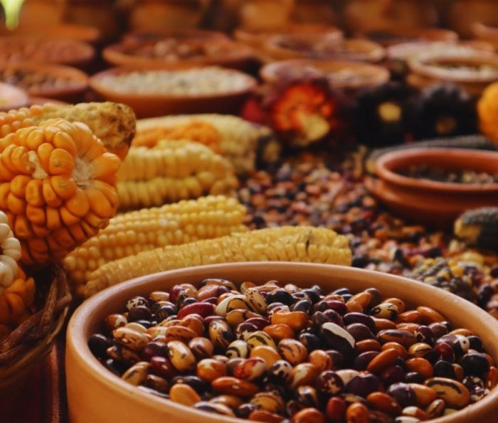 Buscan conservar variedades criollas y nativas para preservar la diversidad genética
