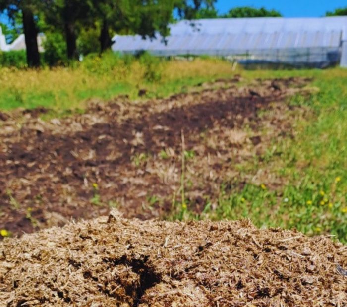 Compostaje para uso agronómico