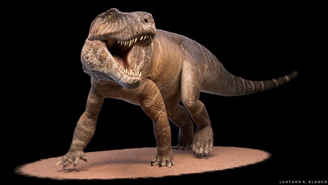 Sorprendente hallazgo en La Rioja: un antecesor gigante del cocodrilo de hace 237 millones de años