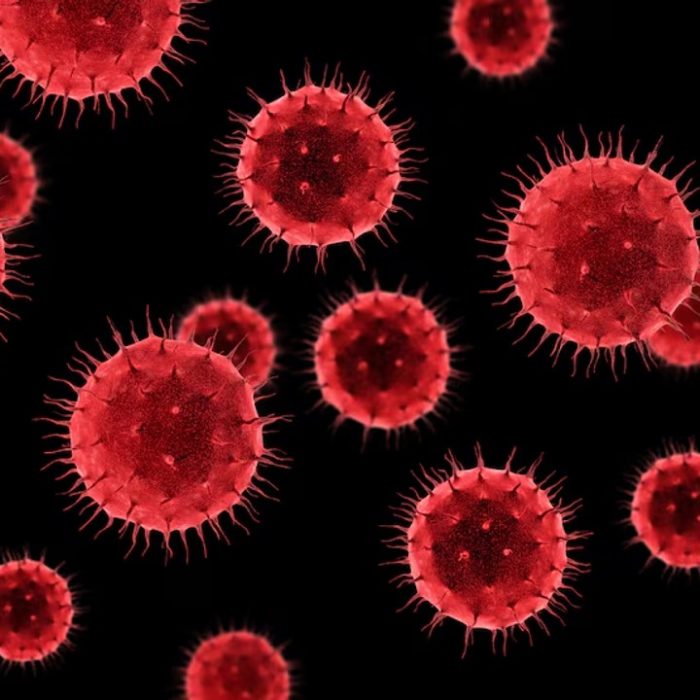 El giro en el tratamiento de uno de los cánceres de sangre más frecuentes del país